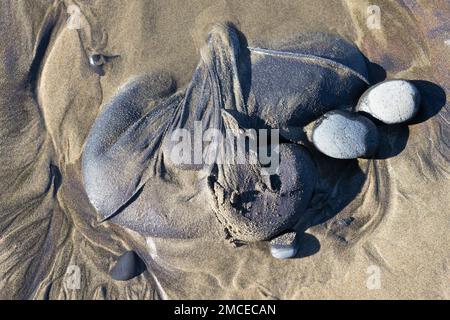 A shirt washed up on a beach. Stock Photo