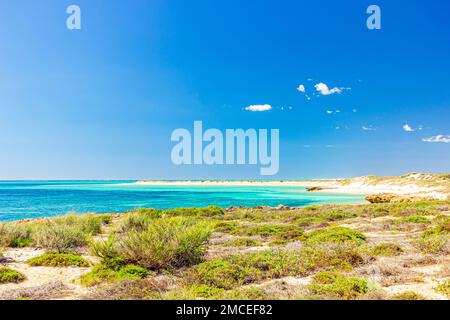 Rugged and wild beach at Osprey Bay in Cape Range National Park if Western Australia's Coral Coast, Australia. Stock Photo