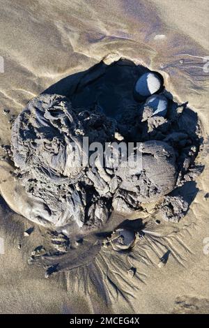 A shirt washed up on a beach. Stock Photo