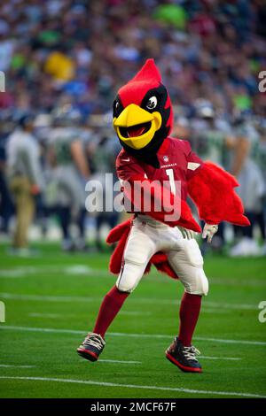 Arizona Cardinals on X: Happy National Mascot Day to the best