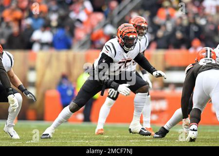 Cincinnati Bengals offensive tackle Isaiah Prince (75) watches