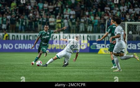 Semifinal da Copinha no Allianz Parque entre Palmeiras e Goiás