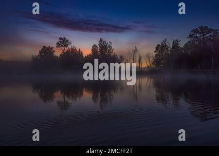 A misty June morning on a wilderness lake in northern Wisconsin. Stock Photo