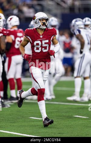 Arizona Cardinals wide receiver Antoine Wesley (85) jogs off the