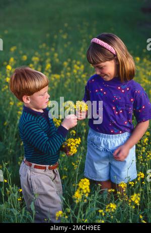 Little redheaded boy and girl standing in a field of wild flowers both examining the flowers Stock Photo