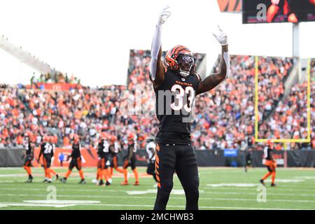 Cincinnati Bengals wide receiver Tyler Boyd (83) lines up for the play  during an NFL football game against the Pittsburgh Steelers, Sunday, Sept.  11, 2022, in Cincinnati. (AP Photo/Emilee Chinn Stock Photo - Alamy