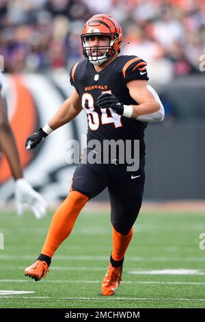 Cincinnati Bengals tight end Devin Asiasi (86) lines up for the play during  an NFL football game against the Carolina Panthers, Sunday, Nov. 6, 2022,  in Cincinnati. (AP Photo/Emilee Chinn Stock Photo - Alamy