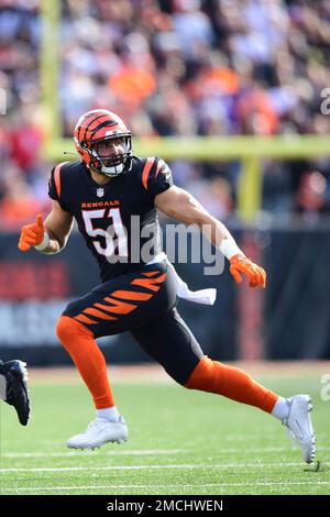 Cincinnati Bengals linebacker Markus Bailey (51) runs for the play during  an NFL football game against the Carolina Panthers, Sunday, Nov. 6, 2022,  in Cincinnati. (AP Photo/Emilee Chinn Stock Photo - Alamy