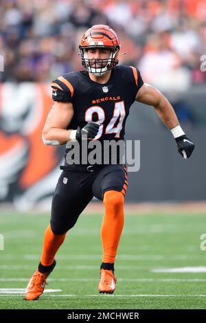 Cincinnati Bengals tight end Mitchell Wilcox (84) lines up for a play ...