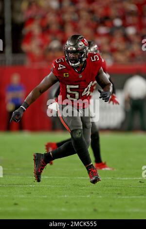 Tampa Bay Buccaneers inside linebacker Lavonte David (54) during an NFL  football game against the New Orleans Saints, Sunday Dec. 19th, 2021 in  Tampa, Fla. (AP Photo/Don Montague Stock Photo - Alamy