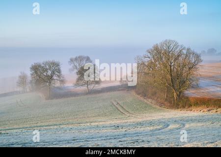 Winter morning sunlight over foggy frosty farmland in the Warwickshire countryside. England Stock Photo