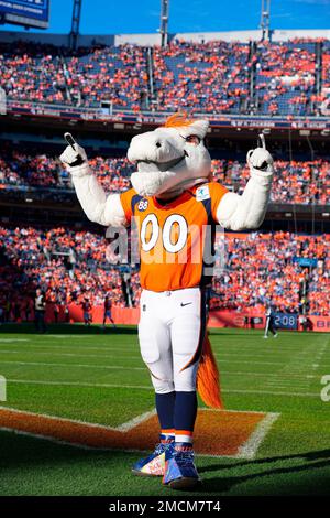 Denver mascot Miles during the Denver Broncos v the Los Angeles Chargers of  an NFL football game Sunday, January 8, 2023, in Denver. (AP Photo/Bart  Young Stock Photo - Alamy