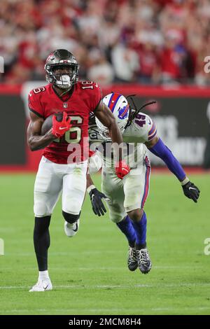 Buffalo Bills wide receiver scores game-winning touchdown in his