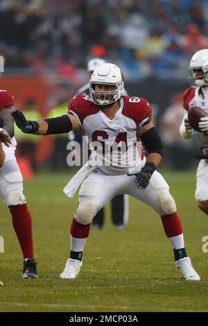 Arizona Cardinals guard Sean Harlow (64) during the first half of an NFL  football game against the Las Vegas Raiders, Sunday, Sept. 18, 2022, in Las  Vegas. (AP Photo/Rick Scuteri Stock Photo - Alamy