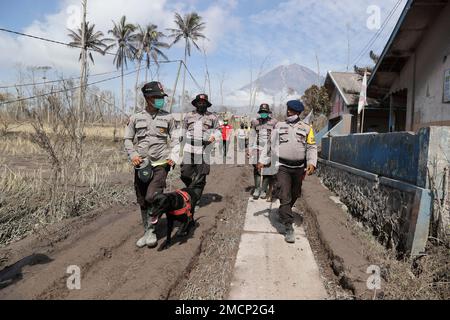 Police Officers Lead A Sniffer Dog During A Search For Victims Of.