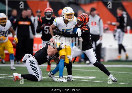 Cincinnati Bengals linebacker Joe Bachie (49) runs for the play during an  NFL football game against the Carolina Panthers, Sunday, Nov. 6, 2022, in  Cincinnati. (AP Photo/Emilee Chinn Stock Photo - Alamy