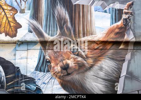 A Red Squirrel peaks out through a hole in a wall in Smug's mural "Fellow Glasgow Residents" on the gable end wall at Ingram Street Car Park. Stock Photo