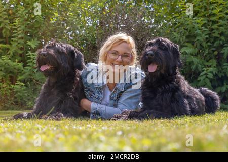 Woman dressed in a denim jacket is lying with two Big Schnauzer dogs outdoors. Horizontally. Stock Photo