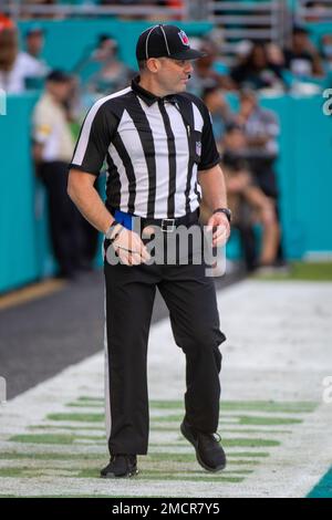 NFL back judge Brad Freeman stands on the field during an NFL