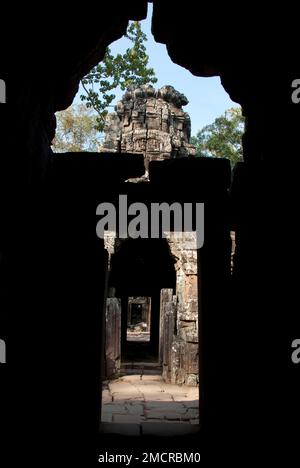 View through doorway, Ta Prohm temple, Angkor complex, Siem Riep, Cambodia Stock Photo