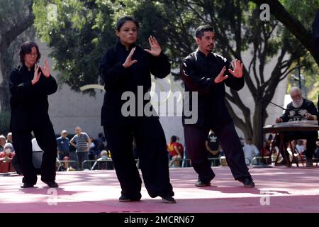 Non Exclusive: January 21, 2023, Mexico City, Mexico: Schools of Chinese culture and cultural promoters celebrate the Chinese New Year governed by the Stock Photo