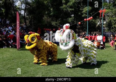 Non Exclusive: January 21, 2023, Mexico City, Mexico: Schools of Chinese culture and cultural promoters celebrate the Chinese New Year governed by the Stock Photo