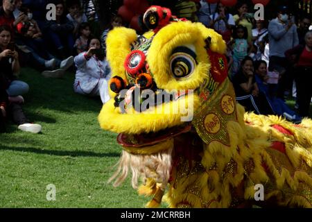 Non Exclusive: January 21, 2023, Mexico City, Mexico: Schools of Chinese culture and cultural promoters celebrate the Chinese New Year governed by the Stock Photo