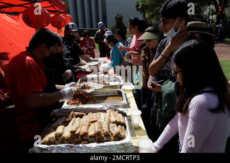 Non Exclusive: January 21, 2023, Mexico City, Mexico: Schools of Chinese culture and cultural promoters celebrate the Chinese New Year governed by the Stock Photo