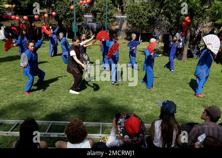 Non Exclusive: January 21, 2023, Mexico City, Mexico: Schools of Chinese culture and cultural promoters celebrate the Chinese New Year governed by the Stock Photo