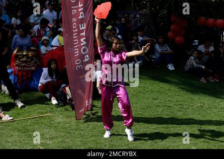 Non Exclusive: January 21, 2023, Mexico City, Mexico: Schools of Chinese culture and cultural promoters celebrate the Chinese New Year governed by the Stock Photo