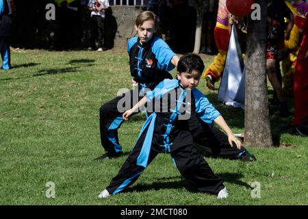 Non Exclusive: January 21, 2023, Mexico City, Mexico: Schools of Chinese culture and cultural promoters celebrate the Chinese New Year governed by the Stock Photo