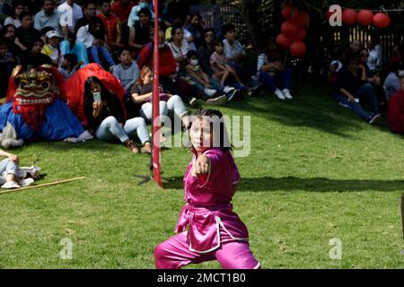 Non Exclusive: January 21, 2023, Mexico City, Mexico: Schools of Chinese culture and cultural promoters celebrate the Chinese New Year governed by the Stock Photo