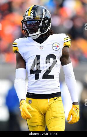 Pittsburgh Steelers cornerback James Pierre (26) during practice at NFL ...