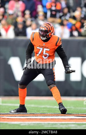 Arizona Cardinals defensive tackle Leki Fotu (95) looks up at a replay  during an NFL football game against the Cincinnati Bengals, Friday, Aug.  12, 2022, in Cincinnati. (AP Photo/Zach Bolinger Stock Photo - Alamy