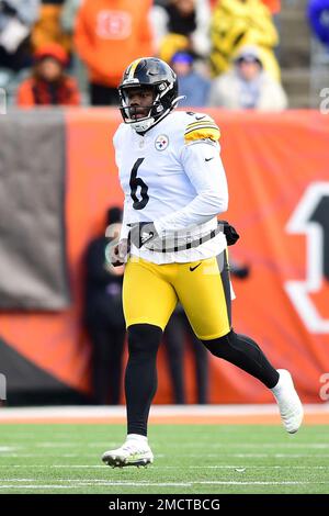 Pittsburgh Steelers punter Pressley Harvin III (6) runs for the play during  an NFL football game against the Cincinnati Bengals, Sunday, Nov. 28, 2021,  in Cincinnati. (AP Photo/Emilee Chinn Stock Photo - Alamy