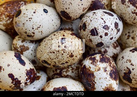 Background image of raw quail eggs. High protein rich food. Stock Photo