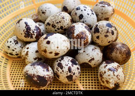 Top view of raw quail eggs. High protein rich food. Stock Photo