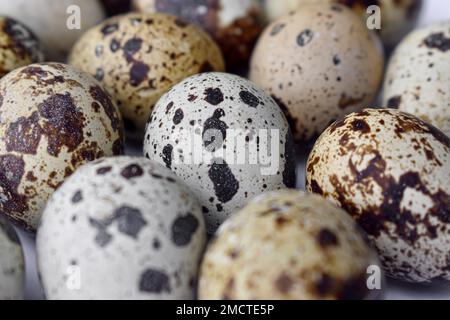 Closeup view of raw quail eggs. High protein rich food. Stock Photo