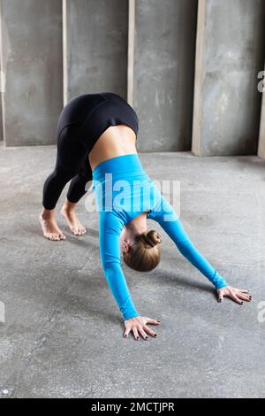 A young woman in sports clothes in the dog face down pose. Practicing yogi, the concept of yoga. Stock Photo