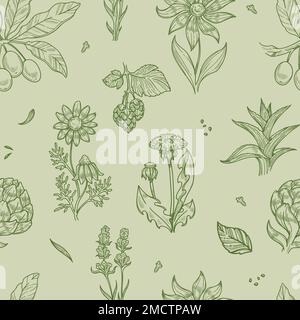 Wild flowers and plants seamless pattern medical herbs Stock Vector
