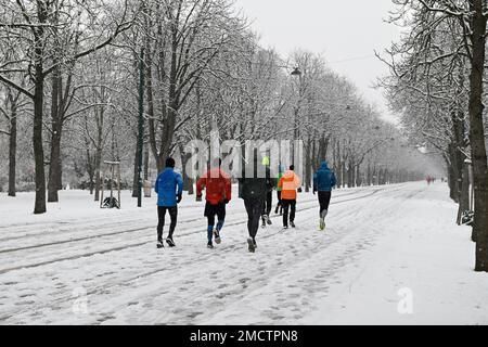 Vienna, Austria. 22nd January, 2023. The first snow in Vienna in the Prater Park. Credit: Franz Perc/Alamy Live News Stock Photo