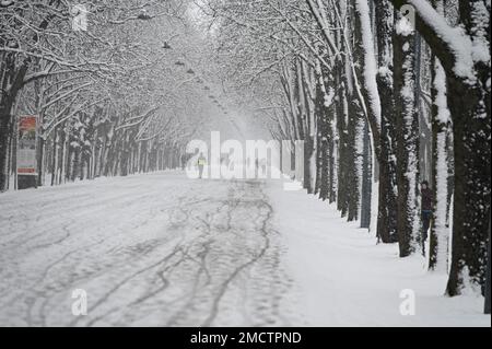 Vienna, Austria. 22nd January, 2023. The first snow in Vienna in the Prater Park. Credit: Franz Perc/Alamy Live News Stock Photo