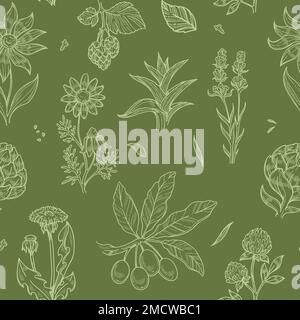Flowers and plants seamless pattern wild medical herbs Stock Vector