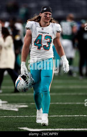 Miami Dolphins outside linebacker Andrew Van Ginkel (43) during the second  half of an NFL football game, Thursday, Sept. 24, 2020, in Jacksonville,  Fla. Dolphins won 31-13. (AP Photo/Gary McCullough Stock Photo - Alamy