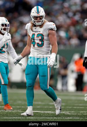 November 6, 2022: Miami Dolphins Andrew Van Ginkel (43) carries the ball  back for a touchdown