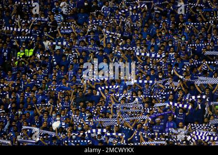 Al-Hilal win AFC Champions League with 2-0 victory over Pohang