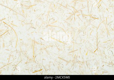 Mulberry paper with dried grass texture used for a background Stock Photo -  Alamy