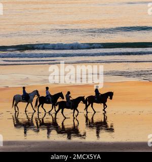 Riders on the beach, horses, sunset, silhouette, Chiclana de la Frontera, Costa de la Luz, Cadiz, Andalucia, Spain Stock Photo