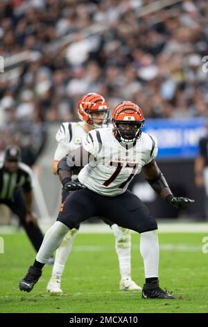 Cincinnati Bengals guard Hakeem Adeniji (77) runs onto the field in the  second half of an NFL football game against the Cleveland Browns, Sunday,  Jan. 9, 2022, in Cleveland. (AP Photo/Nick Cammett