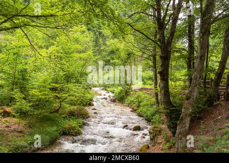 the ephemeral ponds of Tovel: small pearls with turquoise and indigo hues set within the basins of the extensive stony ground of Tovel’s Glares,Italy Stock Photo